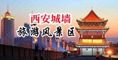 可以免费看操逼视频的网站中国陕西-西安城墙旅游风景区